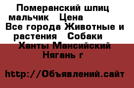 Померанский шпиц, мальчик › Цена ­ 35 000 - Все города Животные и растения » Собаки   . Ханты-Мансийский,Нягань г.